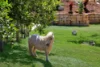 45 The Pinnacle, Worongary, Qld 4213-Image