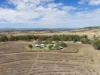 453 Eichmanns Road, Thangool, Qld 4716-Image