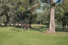 456 Hermitage Road, Pokolbin, NSW 2320-Image