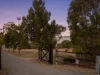 459 Wilson Road, Ramsay, Qld 4358-Image