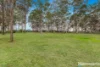 46 Forest Drive, Chisholm, NSW 2322-Image