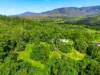 46 Gallet Road, Little Mulgrave, Qld 4865-Image