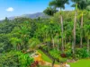 46 Gallet Road, Little Mulgrave, Qld 4865-Image