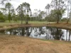 46 Golf View Drive, Nanango, Qld 4615-Image