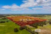460 Downs Road, Tutunup, WA 6280-Image