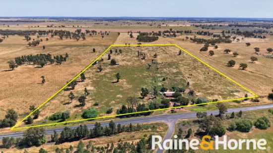 4617 Newell Highway, Peak Hill, NSW 2869