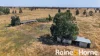 4617 Newell Highway, Peak Hill, NSW 2869-Image