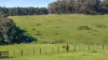 464 Bumballa Road, Tallong, NSW 2579-Image