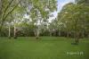 465-471 Galston Road, Dural, NSW 2158-Image