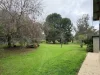 465 East Barham Road, Barham, NSW 2732-Image