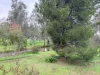 465 East Barham Road, Barham, NSW 2732-Image