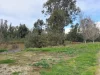 465 East Barham Road, Barham, NSW 2732-Image