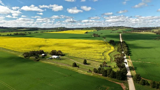 467 Steelton Road, Saddleworth, SA 5413