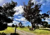 467 Steelton Road, Saddleworth, SA 5413-Image