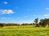 4685 Casterton - Apsley Road, Dergholm, Vic 3312-Image