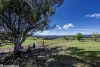 469 Felltimber Creek Road, Wodonga, Vic 3690-Image