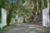 47 Bains Road, Currumbin Valley, Qld 4223-Image