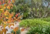 47 Coolart Road, Balnarring, Vic 3926-Image