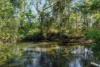 47 Scotts Road, North Casino, NSW 2470-Image