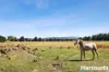 472 Boggy Gate Road, Clarkefield, Vic 3430-Image
