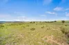 474 Jones Plain Road, Shannons Flat, NSW 2630-Image