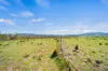 474 Jones Plain Road, Shannons Flat, NSW 2630-Image