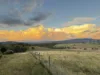 474 Jones Plain Road, Shannons Flat, NSW 2630-Image