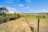 474 Jones Plain Road, Shannons Flat, NSW 2630-Image