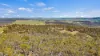 474 Jones Plain Road, Shannons Flat, NSW 2630-Image