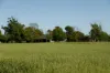 4760 Midland Highway, Girgarre East, Vic 3616-Image