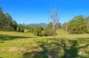 477 Pinnacle Road, Pumpenbil, NSW 2484-Image