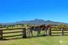 477 Pinnacle Road, Pumpenbil, NSW 2484-Image