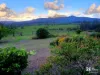 477 Pinnacle Road, Pumpenbil, NSW 2484-Image