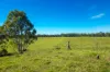 48/2331 Mungar Road, Tiaro, Qld 4650-Image