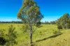 48/2331 Mungar Road, Tiaro, Qld 4650-Image