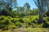 48/2331 Mungar Road, Tiaro, Qld 4650-Image
