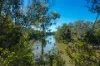 48/2331 Mungar Road, Tiaro, Qld 4650-Image