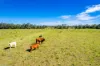 48/2331 Mungar Road, Tiaro, Qld 4650-Image