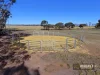 48 Cook Street, Kondinin, WA 6367-Image