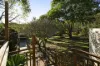 48 Morris Road, Wonbah, Qld 4671-Image