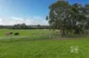 4800 South Gippsland Highway, Lang Lang, Vic 3984-Image