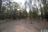 481 Gatton Esk Road, Adare, Qld 4343-Image