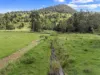 481 Marys Creek Road, Marys Creek, Qld 4570-Image