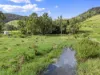 481 Marys Creek Road, Marys Creek, Qld 4570-Image