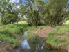 481 Marys Creek Road, Marys Creek, Qld 4570-Image
