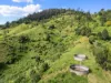481 Marys Creek Road, Marys Creek, Qld 4570-Image