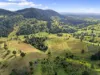 481 Marys Creek Road, Marys Creek, Qld 4570-Image