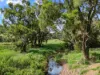 481 Marys Creek Road, Marys Creek, Qld 4570-Image