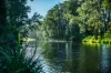 484 Summervilles Road, Thora, NSW 2454-Image