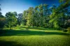 484 Summervilles Road, Thora, NSW 2454-Image